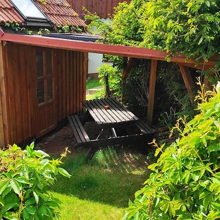 Pension U Holzäpfelů - apartmán Červený Kostelec Exterior foto