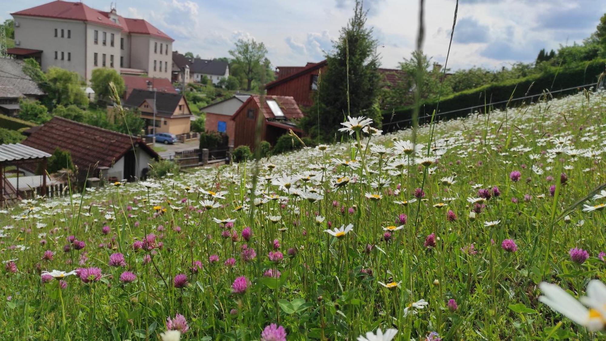 Pension U Holzäpfelů - apartmán Červený Kostelec Exterior foto